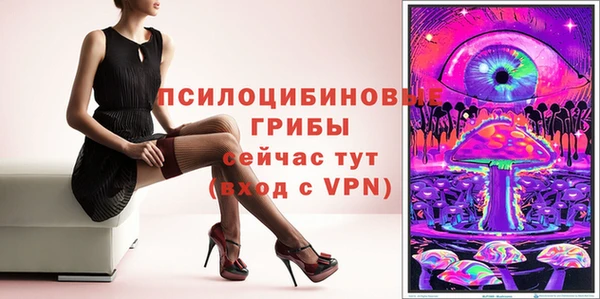 шишки Аркадак