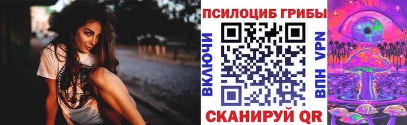 Галлюциногенные грибы мицелий  Пугачёв 
